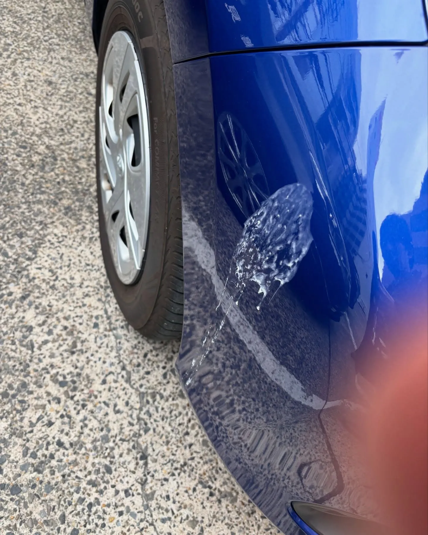 昨日は三ツ池フェス！