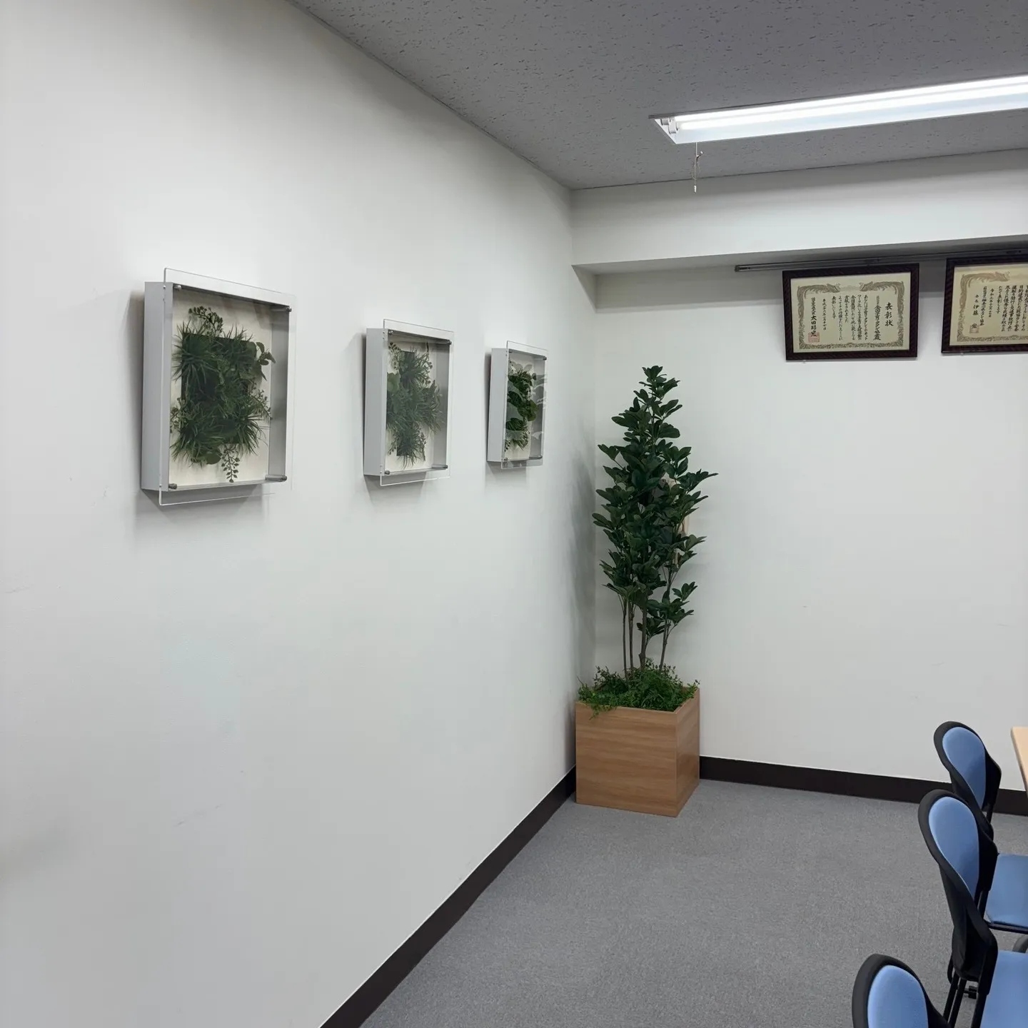 会議室にグリーンを導入しました！ミドリ十字は、安全衛生の象徴...