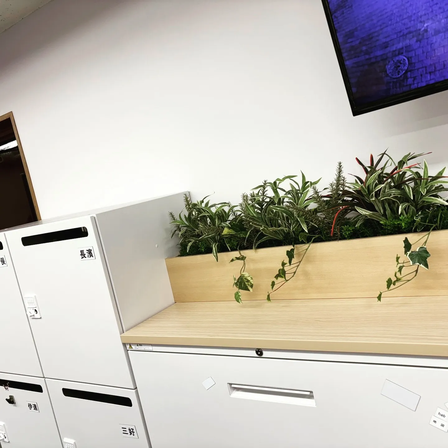 会議室にグリーンを導入しました！ミドリ十字は、安全衛生の象徴...