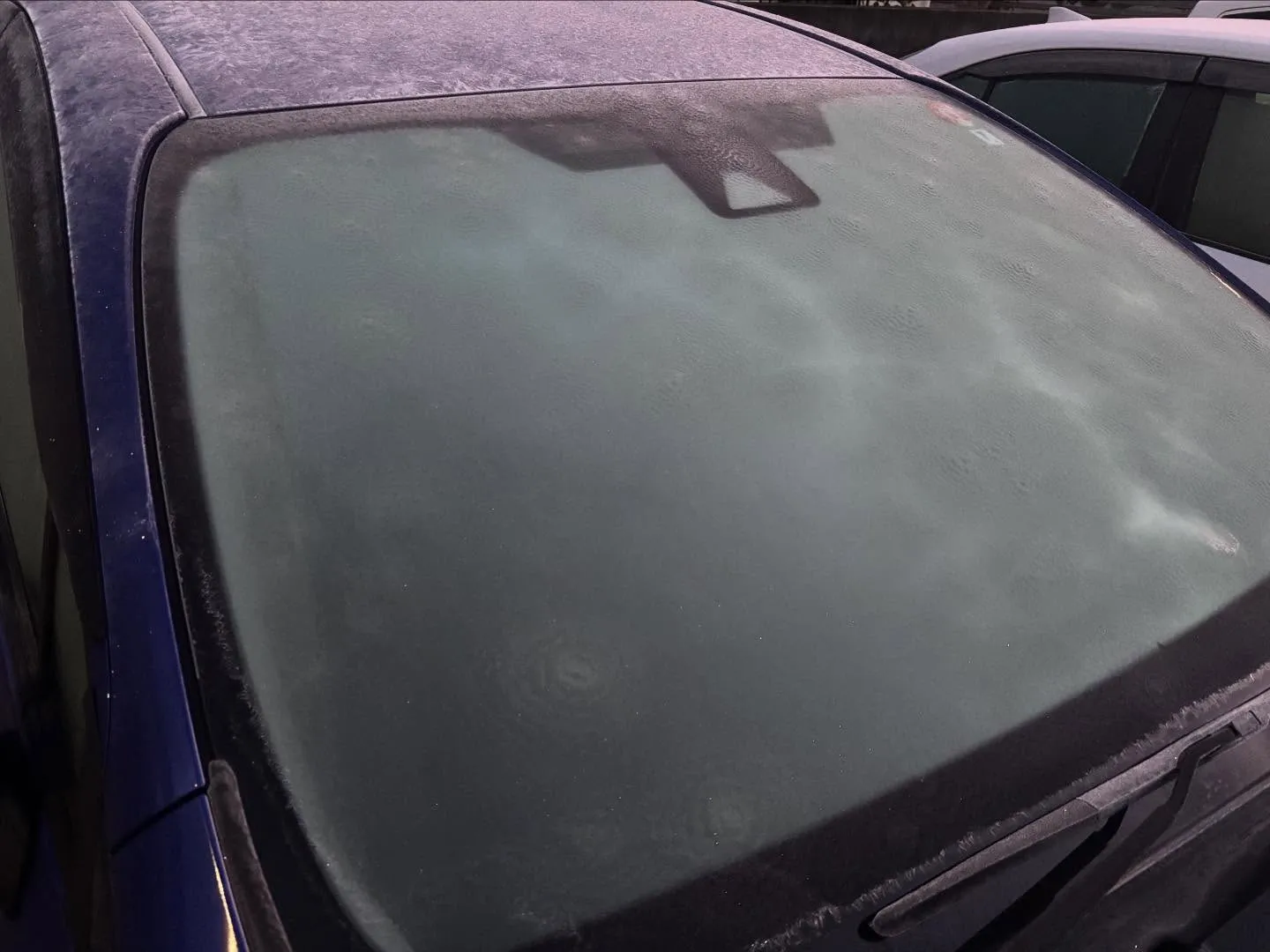 ご近所を夜に歩いていたら