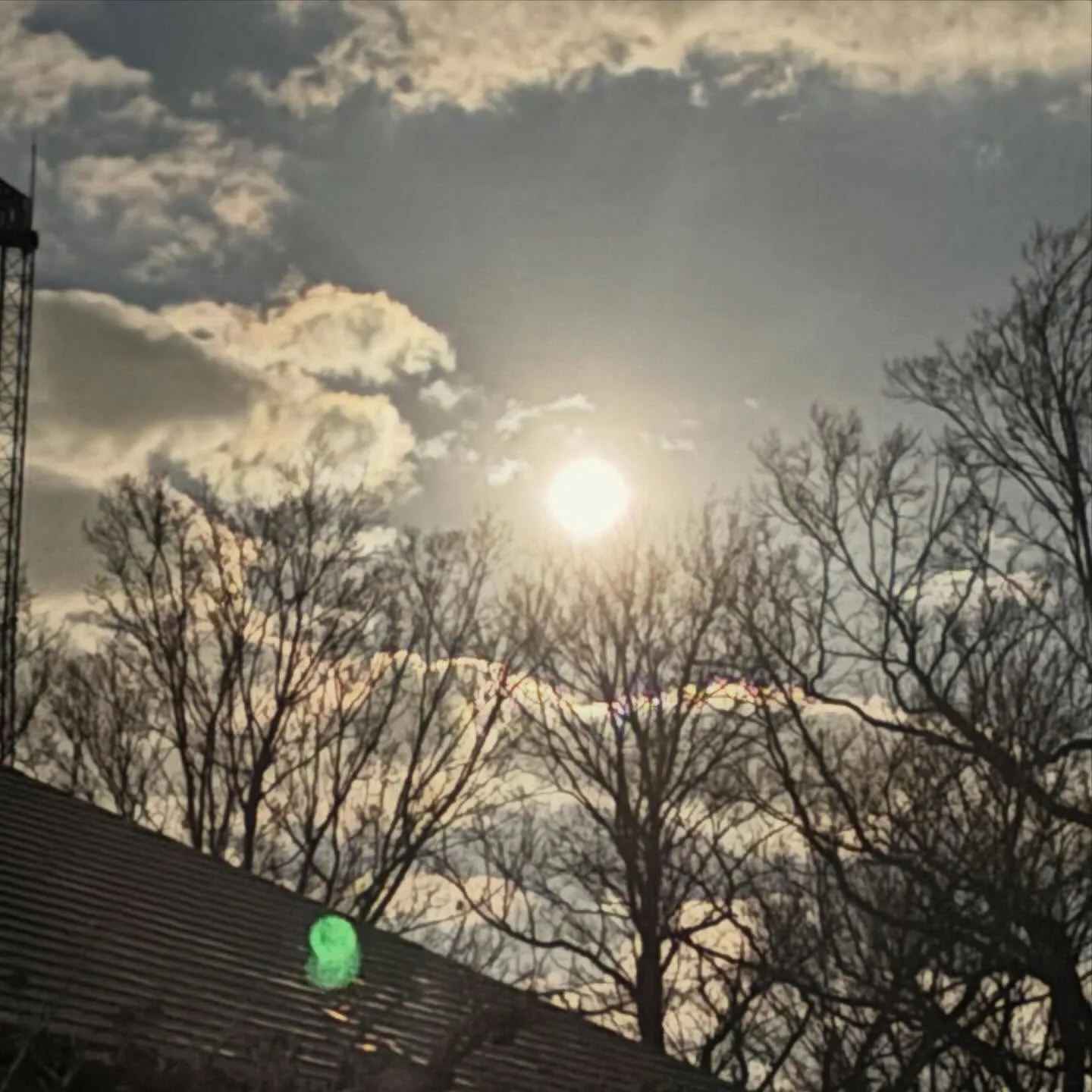 気まぐれショットシリーズ