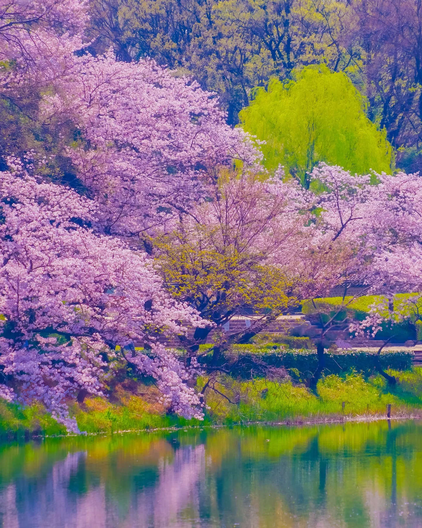 やっぱりすごい鶴見!子育てしやすい街