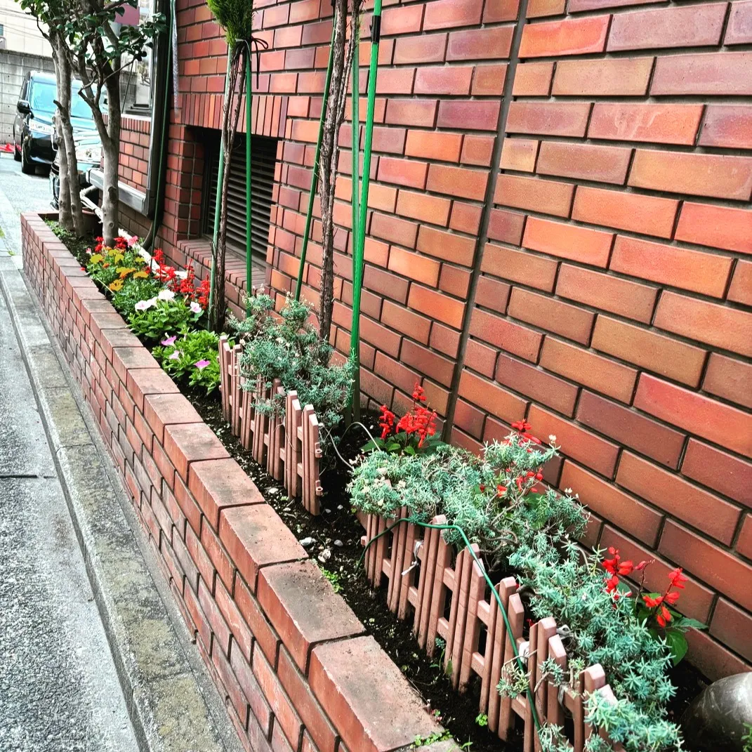 7月に入りました。