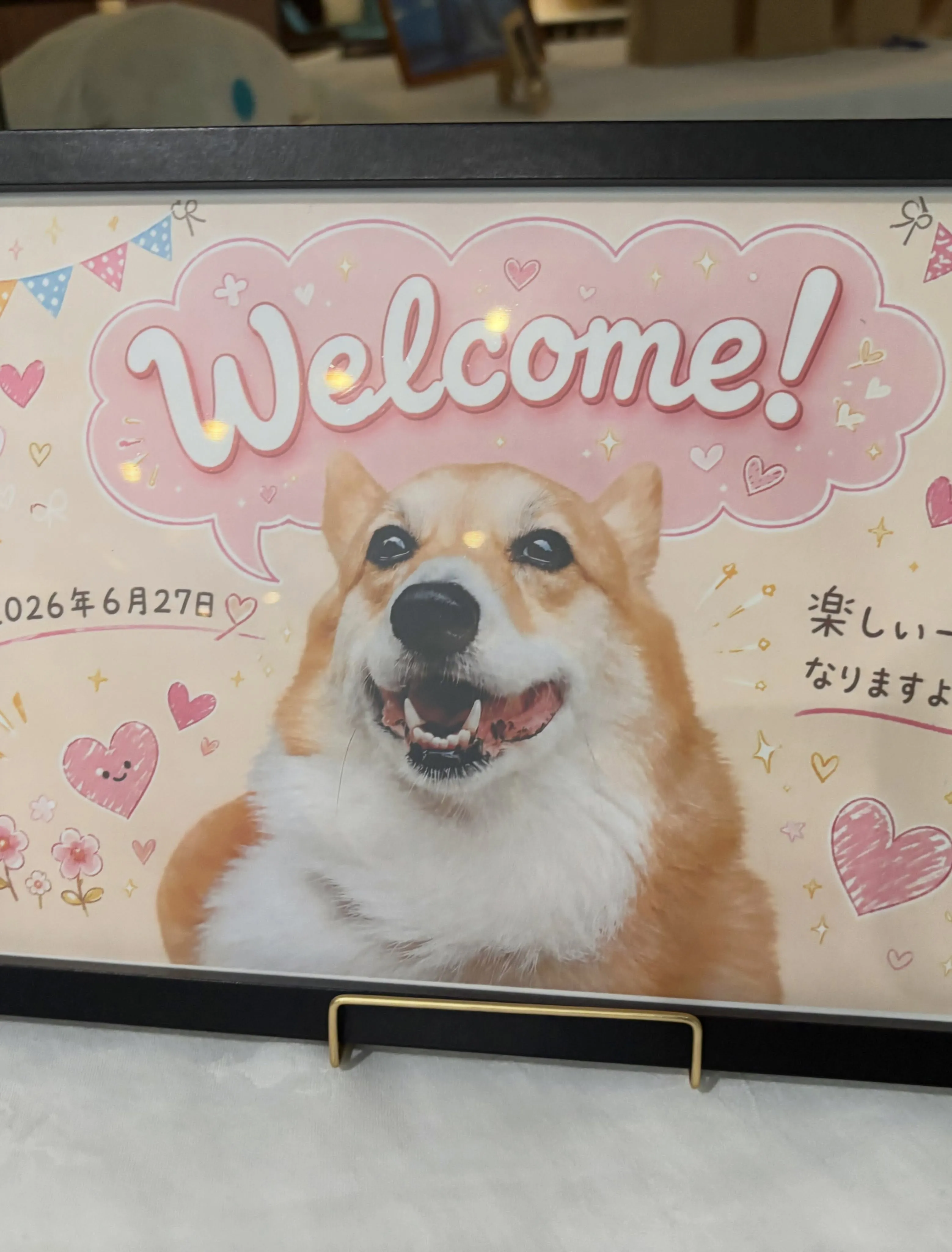 今回は！