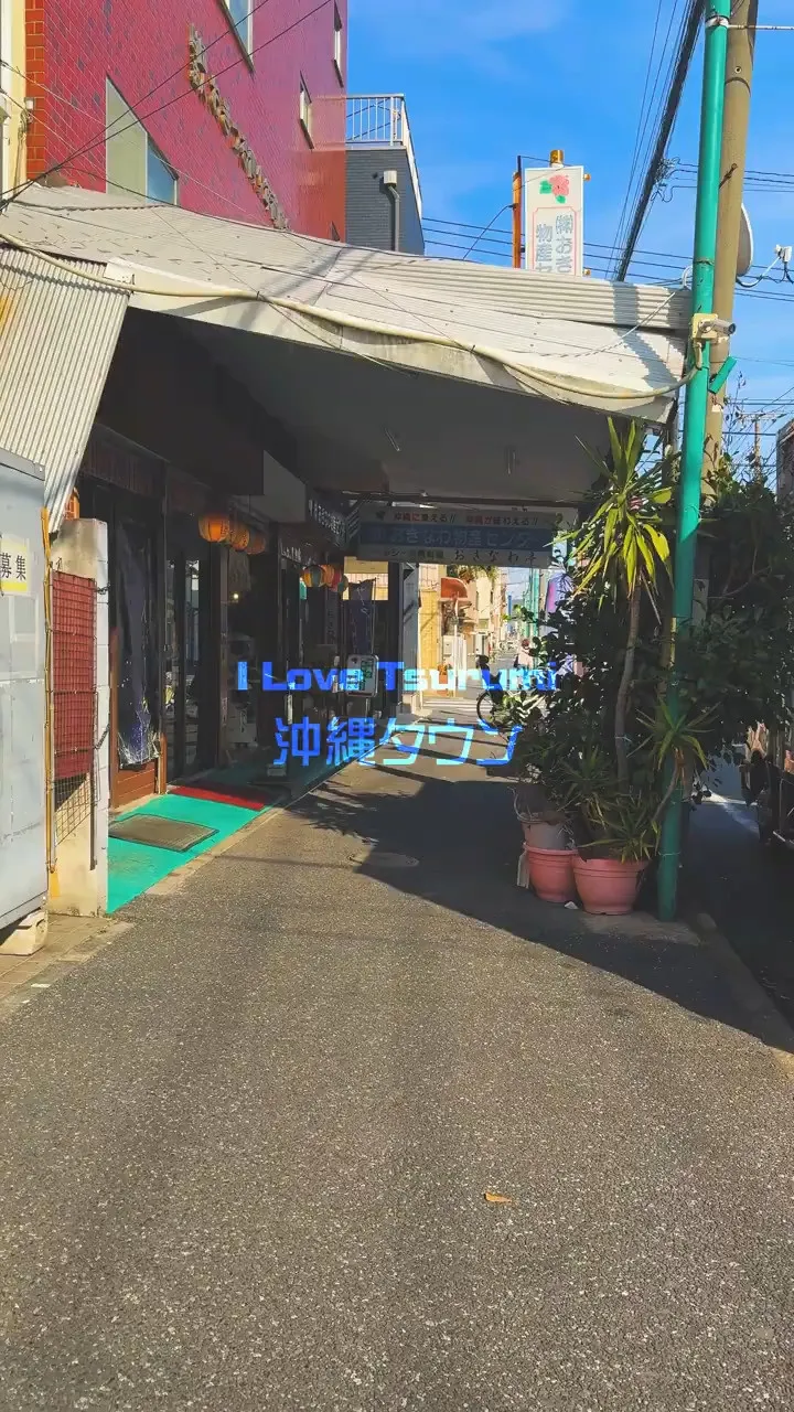 鶴見の仲通には沖縄の店が揃った沖縄タウンがあります。
